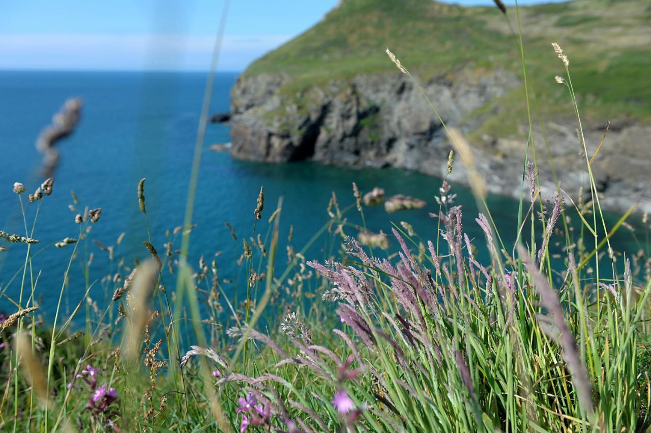 Tranquil Cornish Retreat Close To Port Isaac Beaches And Moor Bodmin Ngoại thất bức ảnh