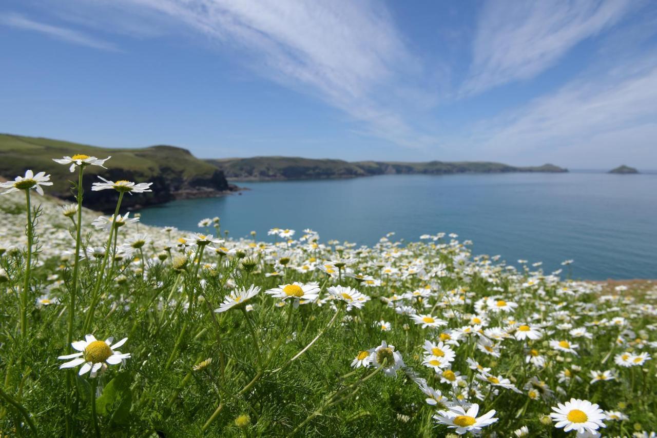 Tranquil Cornish Retreat Close To Port Isaac Beaches And Moor Bodmin Ngoại thất bức ảnh