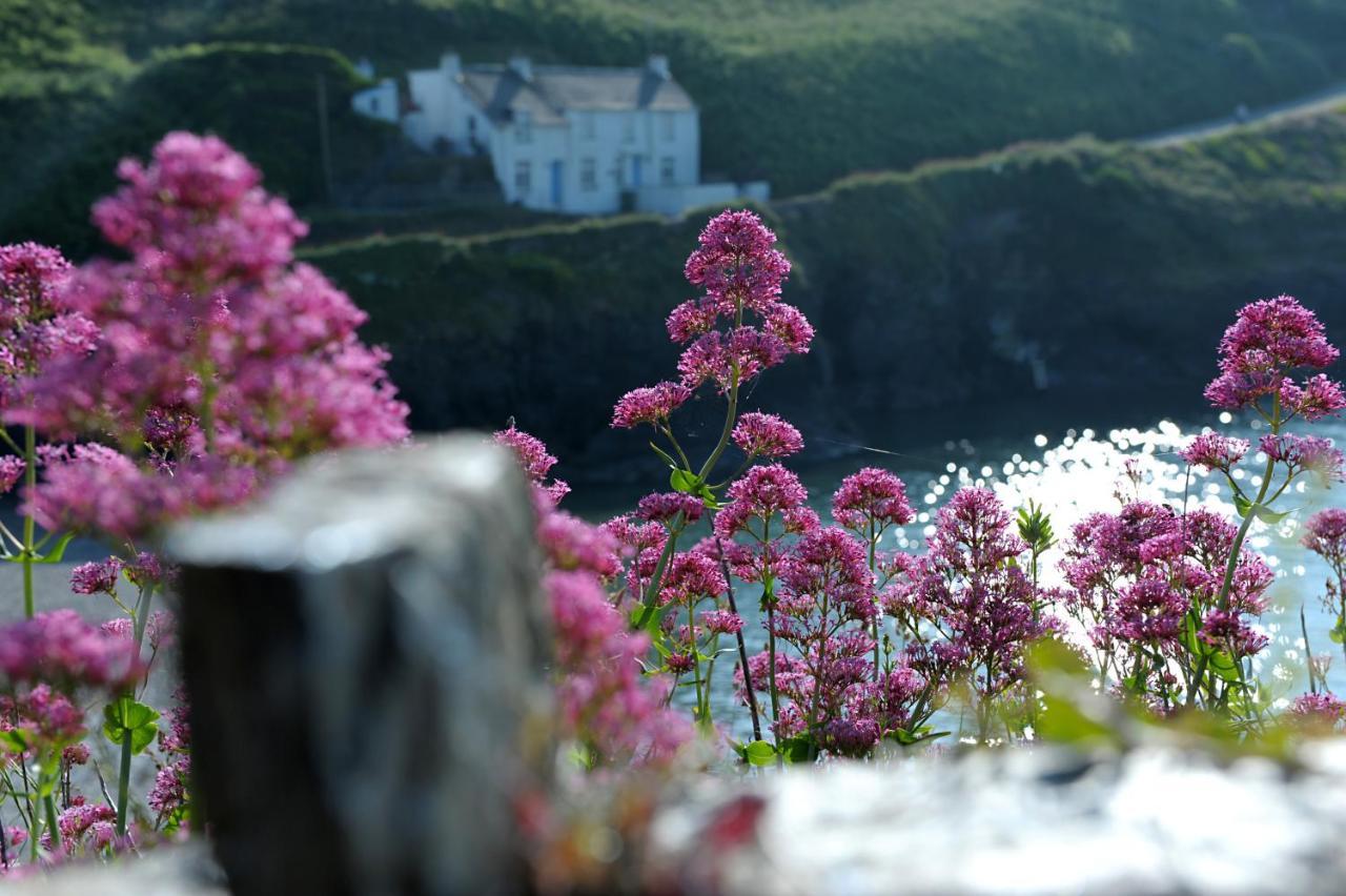 Tranquil Cornish Retreat Close To Port Isaac Beaches And Moor Bodmin Ngoại thất bức ảnh